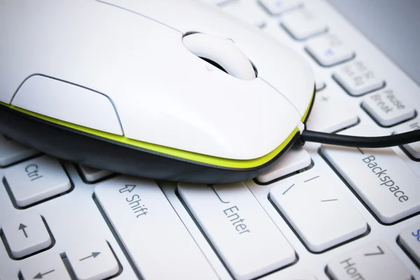 Мышь на клавиатуре — стоковое фото