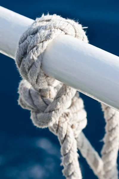 Sea knot closeup — Stock Photo, Image
