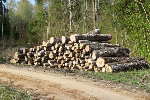 Un montón de troncos en el bosque cerca de la carretera —  Fotos de Stock