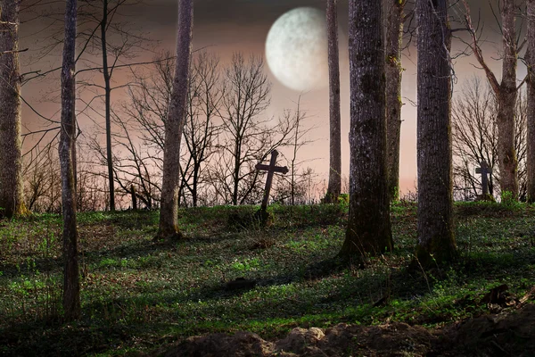 Night with a full moon over the cemetery — Stock Photo, Image
