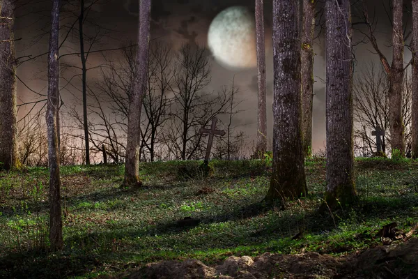 Noche con luna llena sobre el cementerio — Foto de Stock