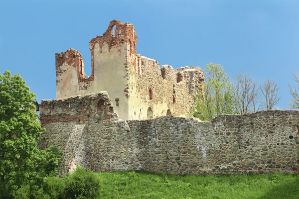 Ordre Livonien ruines du château — Photo