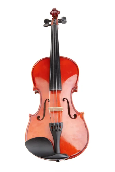 Скрипка на белом фоне — стоковое фото