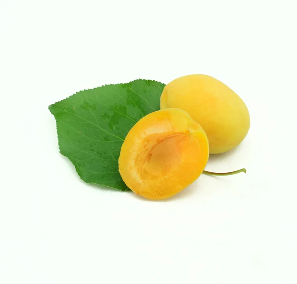 Ripe apricots on a white background — Stock Photo, Image