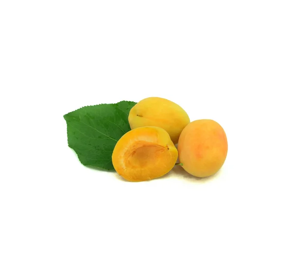 Зрізати абрикоси на білому тлі — стокове фото
