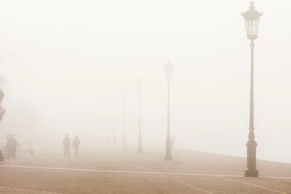 stock image Foggy day