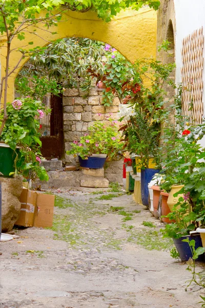 Petite rue pleine de fleurs sur une île grecque — Photo