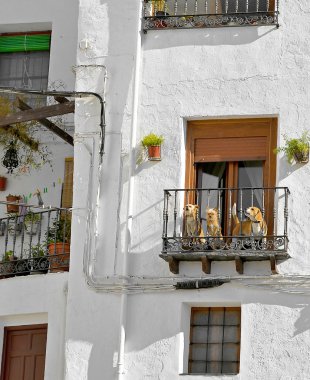 Rural spanish village clipart