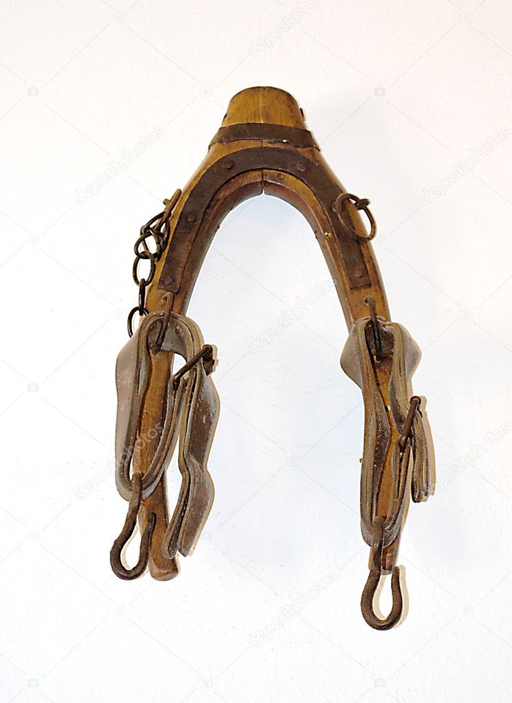 Traditional donkey harness — Stock Photo © indalo 11329713