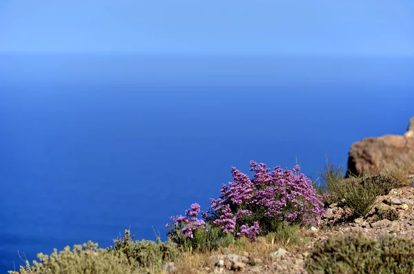 Mediterrane Landschaft — Stockfoto