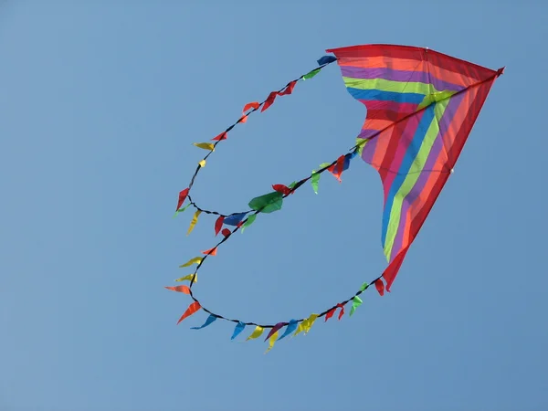Flying kite — Stockfoto