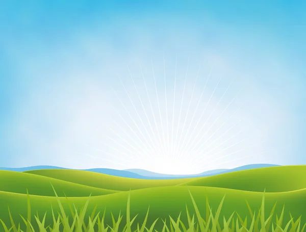 Summer Or Spring Meadows Background — Stock Vector