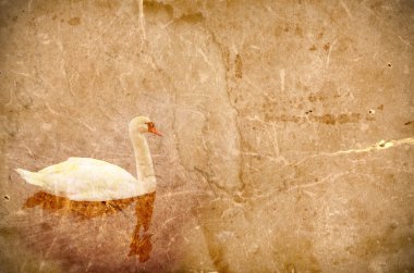 Swan background clipart