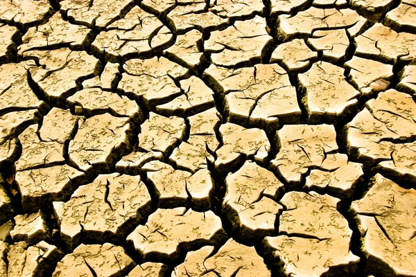 Suché a popraskané země — Stock fotografie
