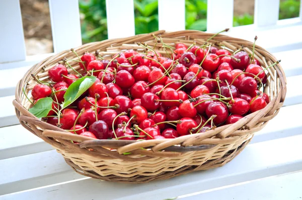Fresh cherries — Stock Photo, Image