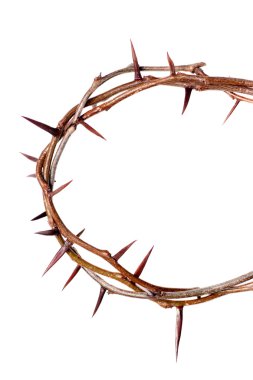 Crown of Thorns clipart