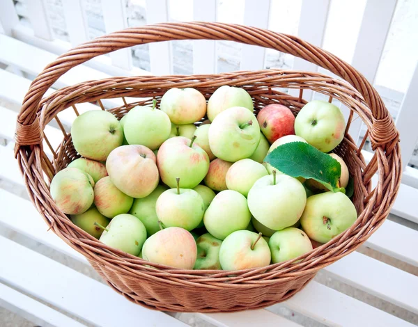 유기농 사과 — 스톡 사진
