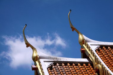 Temple'nın çatı dekorasyonu, bangkok