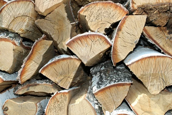 Brennholz aus Birke Stockbild