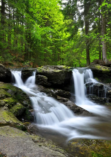 美しい滝 — ストック写真