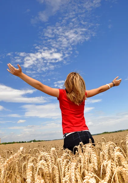 Flickan i en wheaten fältet — Stockfoto