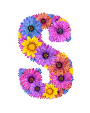 alfabenin den renkli nemli çiçekler