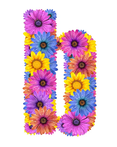 Alphabet from colorful dewy flowers — Stock Photo, Image