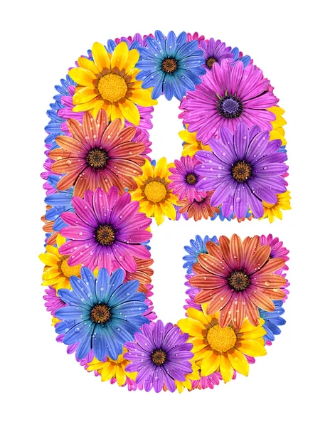 Alfabet z kolorowych kwiatów zroszone — Zdjęcie stockowe
