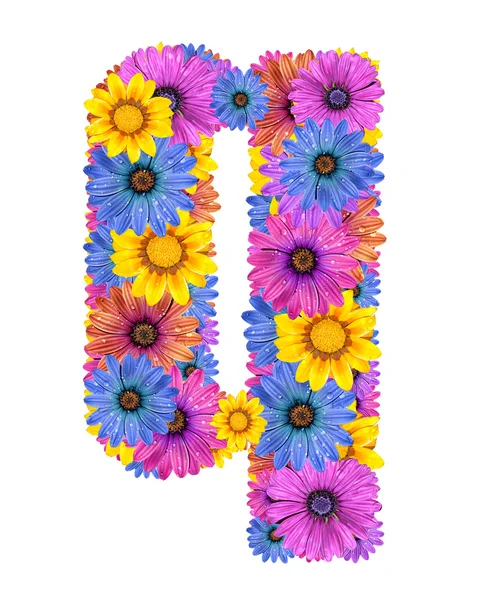 रंगीन dewy फूलों से वर्णमाला — स्टॉक फ़ोटो, इमेज