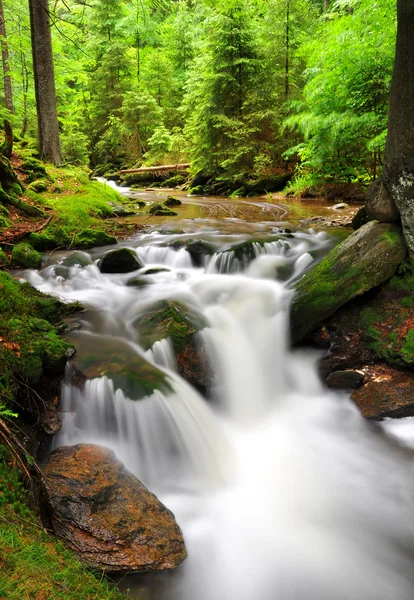 Waterfall in the spring forest — Stock Photo, Image
