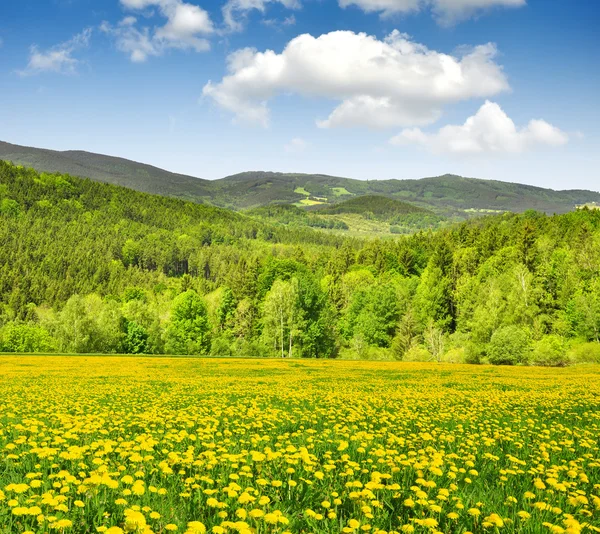 Весна и пейзаж — стоковое фото