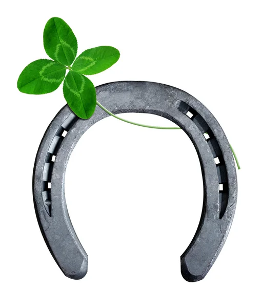 stock image Horseshoe with clover