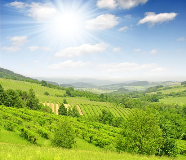 stock image Spring landscape