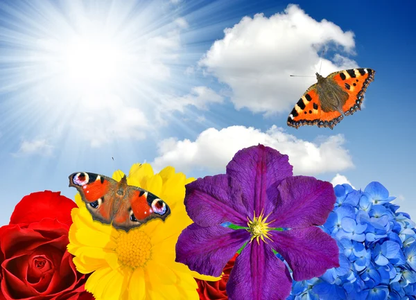 Blumen Hintergrund mit Schmetterling — Stockfoto