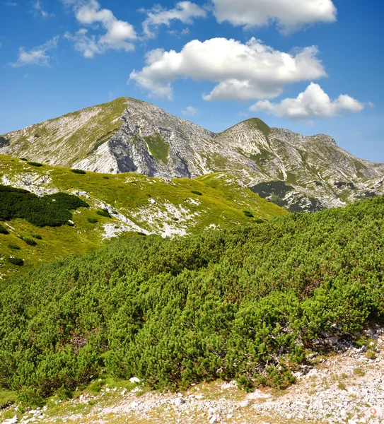 Julian Alps, Slovenia — Stock fotografie
