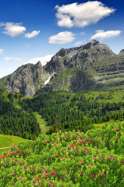 Οροσειρά Brenta των Δολομιτών Ιταλία — Φωτογραφία Αρχείου