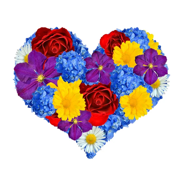 Flower heart — Stock Photo, Image