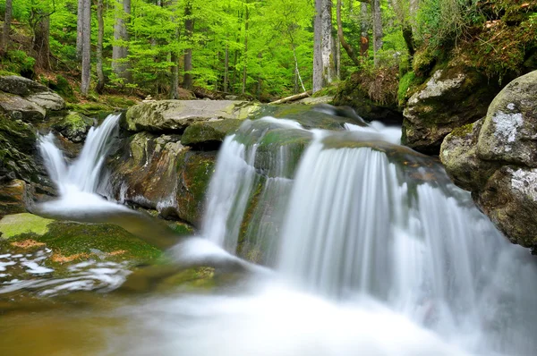 Beautiful waterfalls — Stock Photo, Image