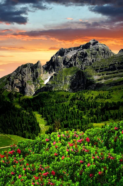 Górskie Dolomiti di Brenta Włochy — Zdjęcie stockowe