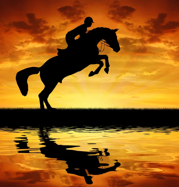 Cavaleiro em um cavalo pulando — Fotografia de Stock