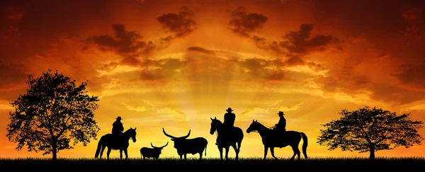 Silhouette cowboys with horses — Stock Photo, Image