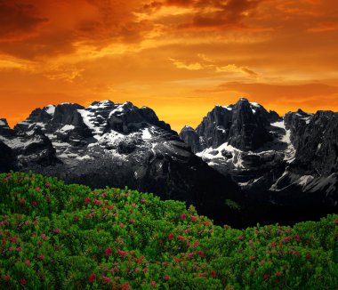 Mountain Brenta-Dolomites Italy clipart