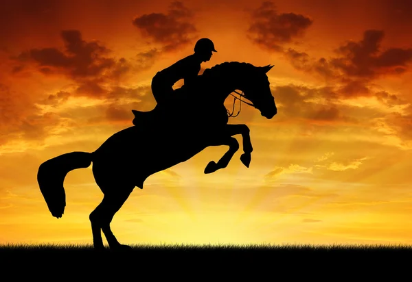 Ruiter op een springen paard — Stockfoto