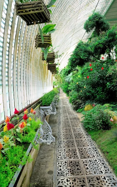 Big greenhouse — Stock Photo, Image