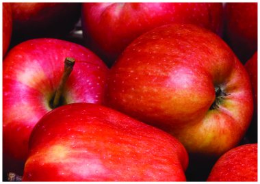 taze kırmızı elma