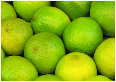 The fresh Colorful lime clipart