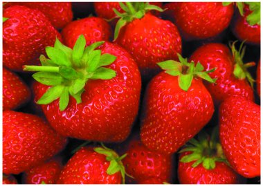 The fresh Colorful strawberries clipart