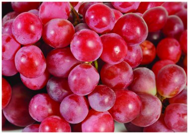 The fresh Red Grapes clipart