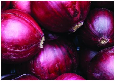 The fresh Red Onion clipart