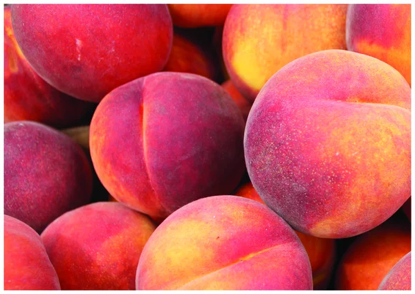 De färska söta persikorna — Stockfoto